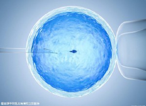 实验室环境